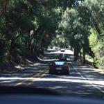 DSC_0162_01 (May 16, 2020)